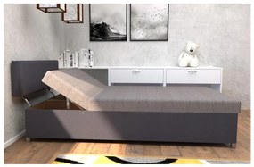 Pat tapițat DALLAS 108 x 205 cm, reglabil, cu spațiu de depozitare, gri/antracit