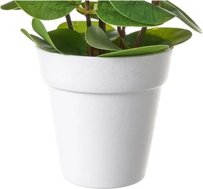 Plantă artificială – Casa Selección