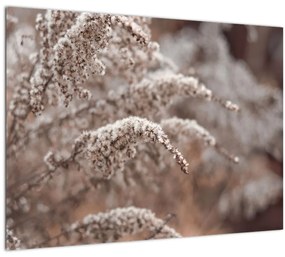 Tablou cu plante (70x50 cm)