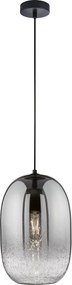 FISCHER &amp; HONSEL Lampa suspendata TRACE neagra 20/140 cm