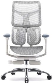 RESIGILAT- Scaun ergonomic SIHOO S100, cotiere 4D ultra moi, suport lombar adaptiv, spătar reglabil pe inaltime, sezut cu translatie, mecanism multifunctional inclinare/blocare, suport picioare, pivotant, Mesh, Gri
