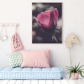 Poster - Floarea de trandafir (A4)