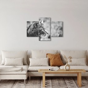 Tablou - Pisica (90x60 cm)
