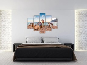 Tablou cu cămile (150x105 cm)