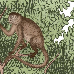 Fototapet, Tropical Bellewood, Monkeys, Rebel Walls