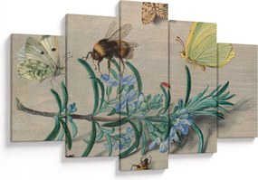 Tablou - Jan van Kessel the Elder, Insects and a Sprig of Rosemary, reproducere (150x105 cm)