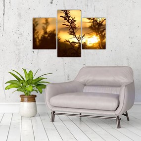 Tablou - Apus de soare (90x60 cm)