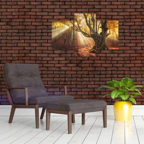 Tablou - Lumina de toamnă (90x60 cm)