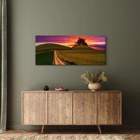 Tablou cu câmp și cerul colorat (120x50 cm)