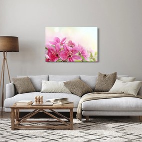 Tablou - Flori roz (90x60 cm)