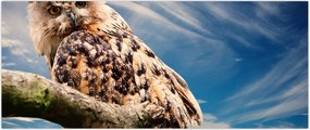 Tablou - Bufniță (120x50 cm)