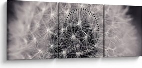 Tablou cu păpădie (cu ceas) (90x30 cm)