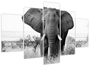 Tablou - Elefantul african II. (150x105 cm)