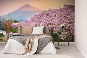 Fototapet Japonia minunată