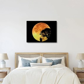 Tablou cu umbre în lumina lunii (70x50 cm)