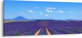 Tablou - Câmp de lavandă (120x50 cm)