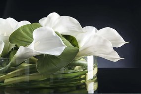 Aranjament floral elegant din cale albe, CIOTOLA BASSA CON CALLE 1141772.95