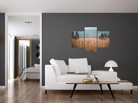 Tablou - detaliu spațiului de luncă (90x60 cm)