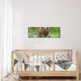 Tablou - Tigru care aleargă (cu ceas) (90x30 cm)