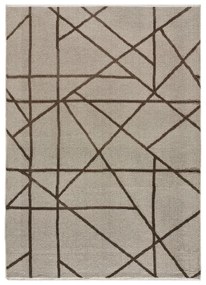 Covor maro deschis 120x170 cm Lux – Universal