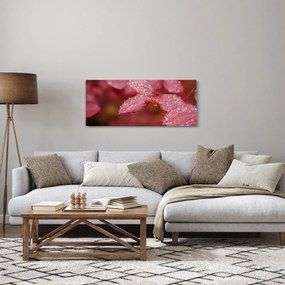 Tablou - Imagine macro a biletului (120x50 cm)