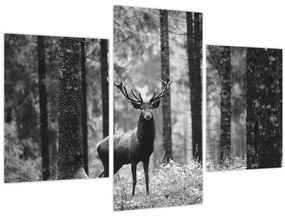 Tablou - Căprioare in pădure 2,alb-negru (90x60 cm)