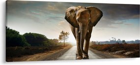 Tablou cu elefant (120x50 cm)
