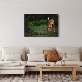 Tablou cu pui de cerb (90x60 cm)