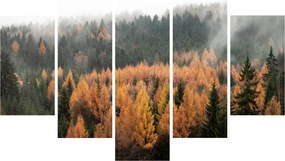 Tablou - Pădure toamna (150x105 cm)