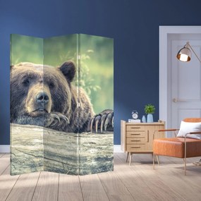 Paravan - Urs (126x170 cm)