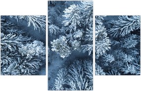 Tablou - Pădure înzăpezită (90x60 cm)