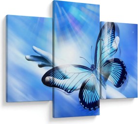 Tablou - Fluture, simbolul speranței (90x60 cm)