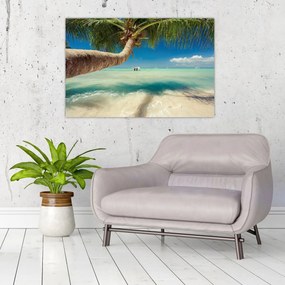 Tablou - Mare curată cu palmier (90x60 cm)