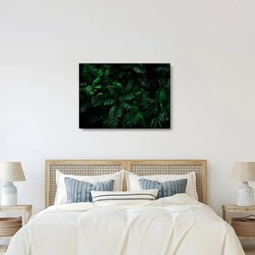 Tablou pe sticlă - Păpădii tropicale (70x50 cm)