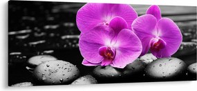 Tablou - Orhidee violet (120x50 cm)