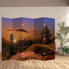 Paravan naturii - Apus de soare (210x170 cm)
