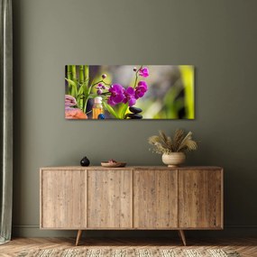 Tablou - spa and stones (120x50 cm)