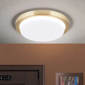 Plafoniera LED moderna LEROX Ã20cm alama mat