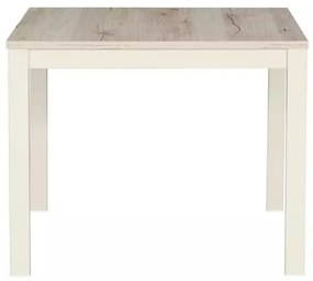 Masuta de cafea FROST 60x60 cm, crem / stejar alpin