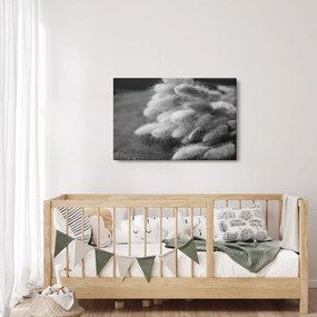 Tablou - iarbă de coadă de iepure pe masă (90x60 cm)