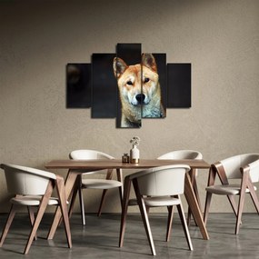 Tablou cu câine (150x105 cm)