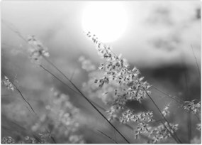 Tablou pe sticlă - Pajiște de toamnă (70x50 cm)