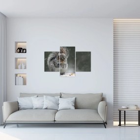 Tablou - Veveriță iarna (90x60 cm)