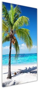 Tablou din Sticlă Plaja tropicala