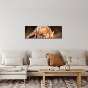 Tablou - Vulpe in pădure (cu ceas) (90x30 cm)