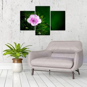 Tablou cu floare roz (90x60 cm)