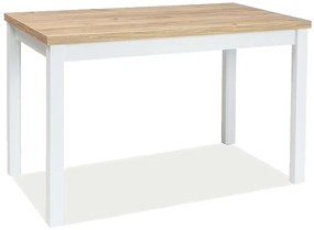 OFERTA Masa de dining alba cu blat in decor de stejar auriu craft ADAM 100x60 II. calitate
