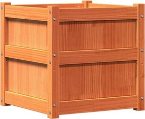 vidaXL Jardinieră de grădină, maro ceruit, 50x50x50 cm, lemn masiv pin