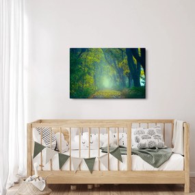 Tablou cu drum dea lungul cu copaci (90x60 cm)
