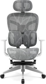 RESIGILAT- AEROMAX PRO 620LK-SY Scaun ergonomic, cotiere 6D, Tetiera 3D, Suport lombar dublu ajustabil, Suport picioare, Umeras, Full Mesh, Gri